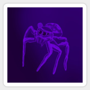 Jumping Spider Drawing V26 (Purple 2) Sticker